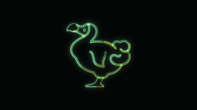  Dodo Animal Icon Neon Seamless Loop 4K with Black Background Animated Promotional Typography for Video Editing