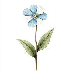 Naklejka premium a cute Forget me not flower