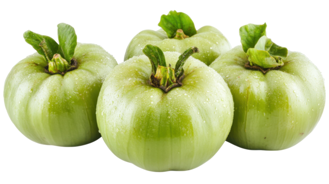 Fresh Garcinia Atroviridis Fruits With Green Skin and Leafy Topping On Transparent Background