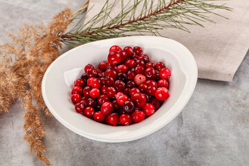Ripe sweet sour cranberry heap