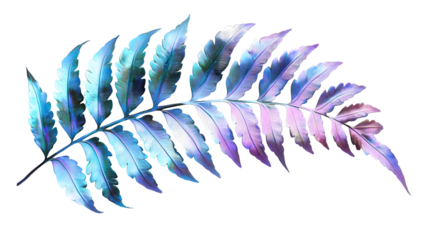 Glossy iridescent fern leaves with delicate curled edges isolated on transparent background