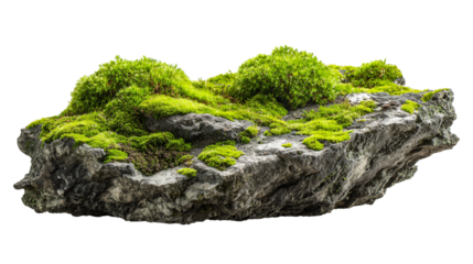 Vibrant moss rock formation, perfect for fairy garden or model landscape