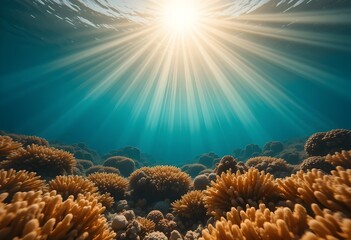 Explosive Sunburst Over Coral: Extreme Bright Sunlight Blasts Through the Ocean Surface, Illuminating Vibrant Coral Formations in Clear Turquoise Water.
