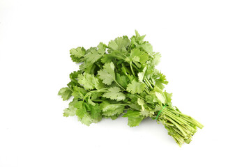 Bunch of coriander leaves on white background