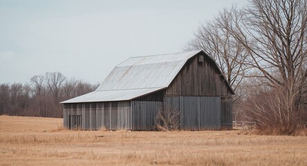 Obraz premium Rustic Structure Amidst the Winter Field, Metallic Roof Shimmering Under Pale Sky.