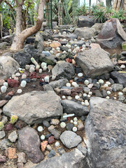 Stones on a Rocky Path