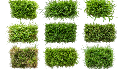 Set of top view lush green grass patches diverse textures isolated on transparent background