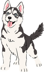vector illustration of a Happy Husky Puppy