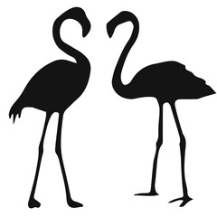Flamingo pair silhouette exotic birds standing tropical wildlife symbol