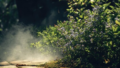 Sunlight streams through misty garden