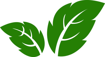 Leaf icon.Leaf sprout icon vector, green leaves plant eco logo symbol simple graphic illustration, vegan fresh herb pictogram shape sign, organic natural healthy logotype.