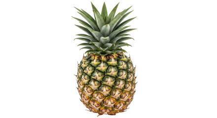 Isolated Pineapple