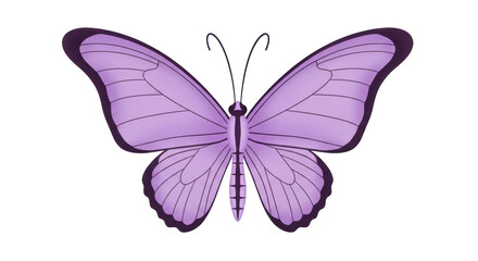 Isolated Butterfly