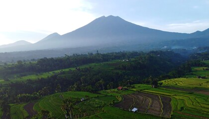 Lush green terraced rice paddies and hazy volcanic mountains under a soft, bright sky