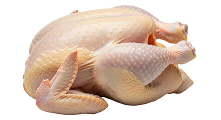 Isolated Raw Chicken