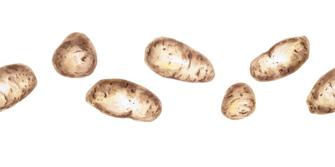Seamless border of whole potatoes. Isolated watercolor illustration on the theme of vegetables for the design of seed packaging, restaurant menus, culinary recipes.