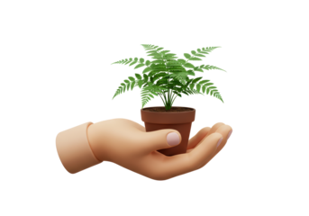 Isolated Hand Holding Potted Fern Plant. Caring for Home Plants. Growing Greenery at Home