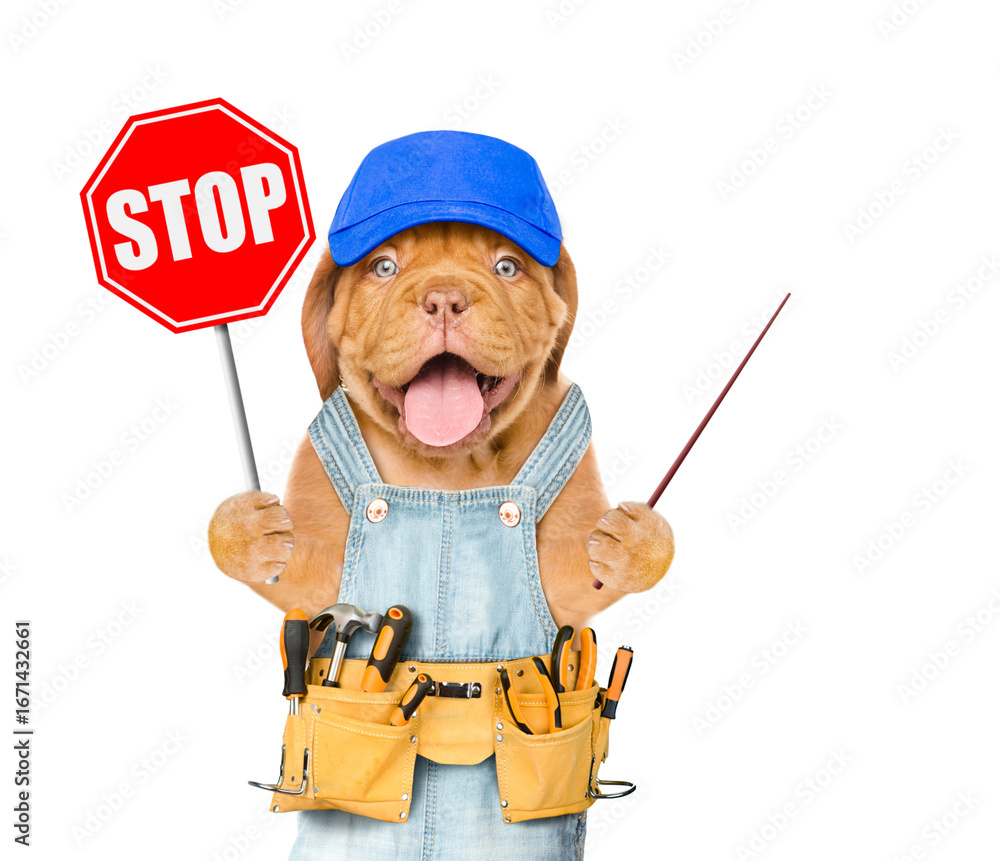 Poster happy puppy wearing blue cap and overalls with tool belt showing stop sign and pointing away on empt