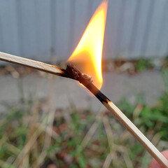 Burning wooden matches close up