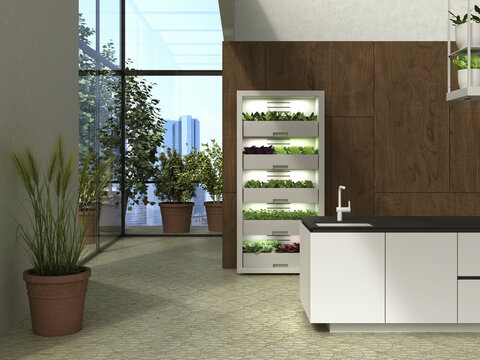 Modern kitchen with indoor vertical garden and city view