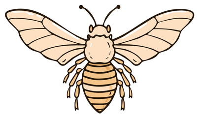 Simple Stylized Insect with Delicate Wings and Striped Body