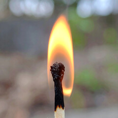 Burning match head close up
