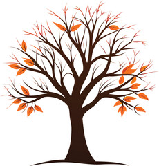 Silhouette of Bare Tree in Autumn