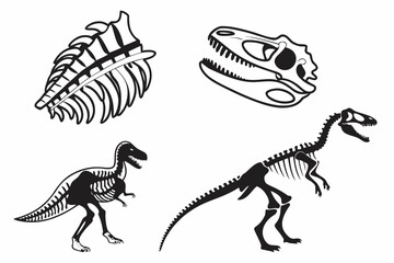 Naklejka premium Dinosaur Skeletons and Skull Illustrations.