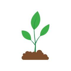 Green saplings growing in soil. sapling growth vector illustration. plant growing from ground. life and ecology. world environment day