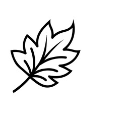 Autumn Leaf Icon