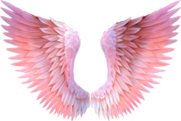 Pink Angel Wings Isolated on Transparent Background isolated on a transparent background