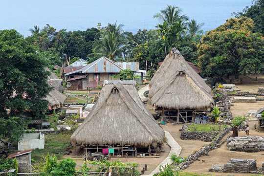 Aerial view of thatched roofs and rustic dwellings nestled amidst lush greenery, a vibrant tapestry of rural life unfolds, Nggela, East Nusa Tenggara, Indonesia.