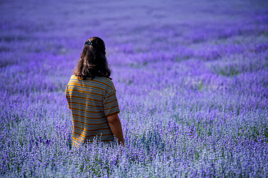 Woman walking in lavender field enjoying the scent of flowers