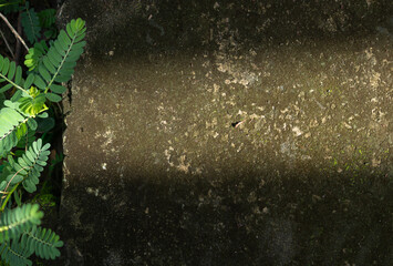Mossy concrete texture background with a strong diagonal shadow and fresh green leaves creating a...