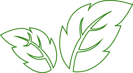 Leaf line art icon.Leaf sprout icon vector, green leaves plant eco logo symbol simple graphic illustration, vegan fresh herb pictogram shape sign, organic natural healthy logotype.