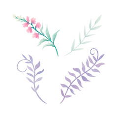 A pastel set of plant elements in pink, purple and green tones on a white background. Watercolor illustration, hand drawn for the decoration of a kids room, clothes or invitations for childrens party