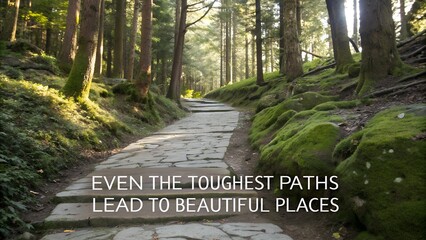 Inspirational Quote on a Stone Path Through a Sunlit Forest.