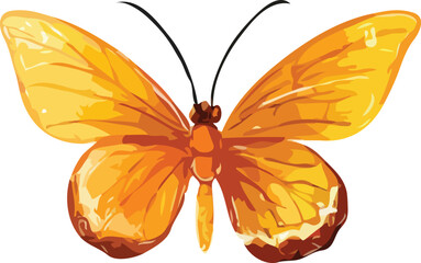 Butterfly vector illustration