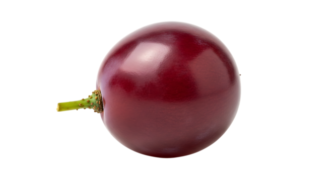 Single dark red grape with green stem on black fruit isolated on a transparent background
