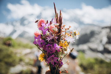 A bouquet of wild flowers in a girl's hand. Against the background of high snowy mountains. Close-up of a woman's hand holding summer wild flowers