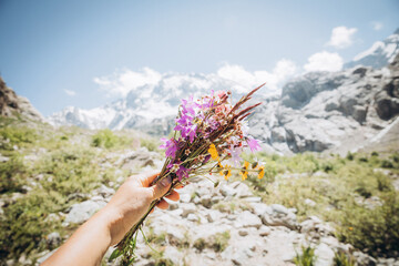 A bouquet of wild flowers in a girl's hand. Against the background of high snowy mountains. Close-up of a woman's hand holding summer wild flowers