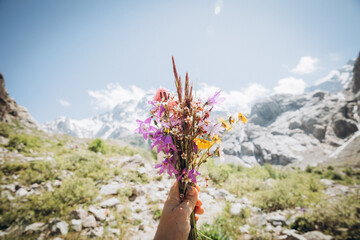 A bouquet of wild flowers in a girl's hand. Against the background of high snowy mountains. Close-up of a woman's hand holding summer wild flowers