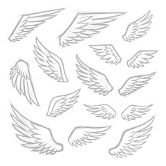 Collection of wing doodle elements in pen sketch style on white background
