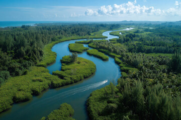 Obraz premium Aerial view of tropical mangrove forest with winding waterways and lush greenery