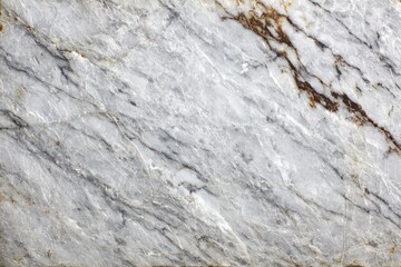 Gray stone with veining