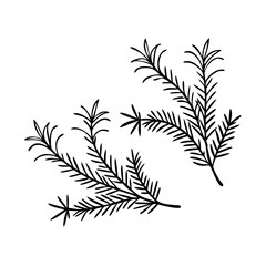 Vector Christmas Elements. Set of Christmas Tree Branches.Festive fir branches and cones in a Christmas composition, isolated on a white background with shadow for decoration projects.