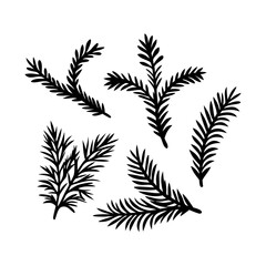 Naklejka premium Vector Christmas Elements. Set of Christmas Tree Branches.Festive fir branches and cones in a Christmas composition, isolated on a white background with shadow for decoration projects.