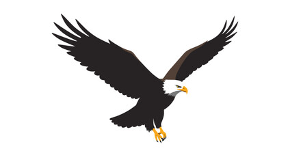 Majestic bald eagle in flight with wings spread wide showcasing its powerful silhouette against a clean white background