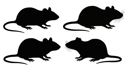 Four identical black silhouettes of a small rodent possibly a mouse or rat shown from the side on a white background silhouette
