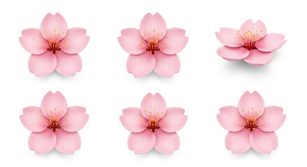 A beautiful collection of isolated pink cherry blossom flowers. Realistic 3D sakura illustrations perfect for spring and floral design elements